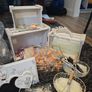 Wedding Bits Image 6