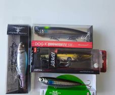 fishing lures