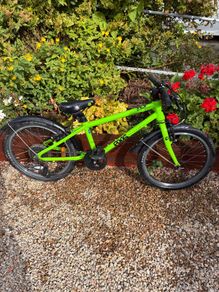 Frog 55 Kids Bike