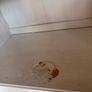 Ikea cabinet free to take away Image 3
