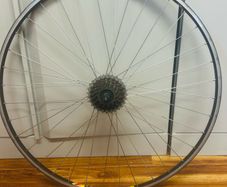 campagnolo rear wheel