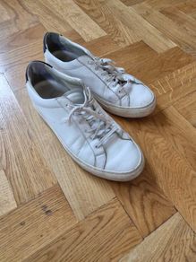 Common Projects Trainers