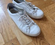 Common Projects Trainers