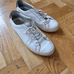 Common Projects Trainers