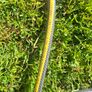 garden hose Image 2