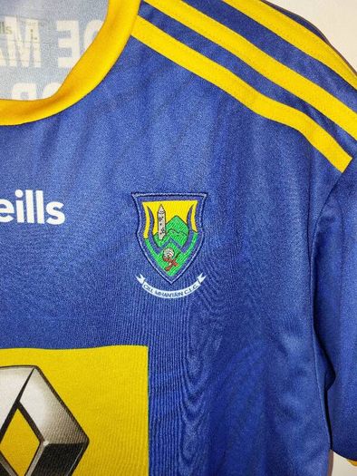 wicklow gaa jersey