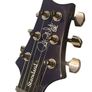PRS SE Standard 24/08 TB & Extras Image 4