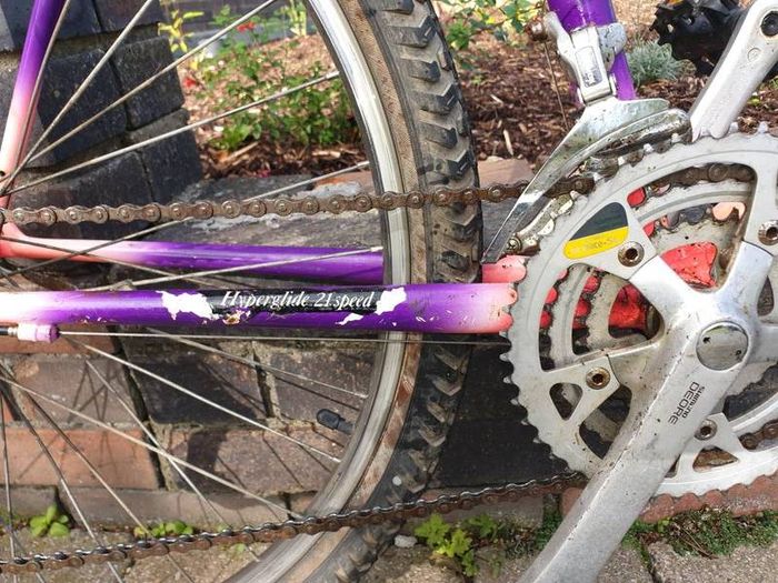 Raleigh Moonshine MTB