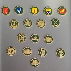 Irish Defence Forces - Challenge Coins