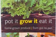 Pot it. Grow it. Eat it.