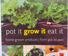 Pot it. Grow it. Eat it.