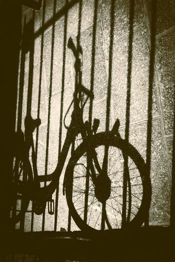 !!! Used Bikes !!!