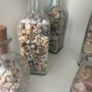Sea shells in bottles Image 5