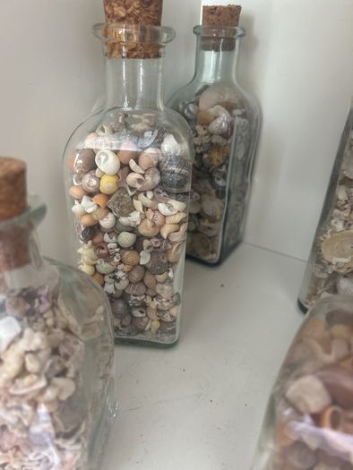 Sea shells in bottles
