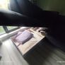 sofa Image 2