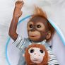 Twin Reborn Monkey Dolls Set of 2 Image 3