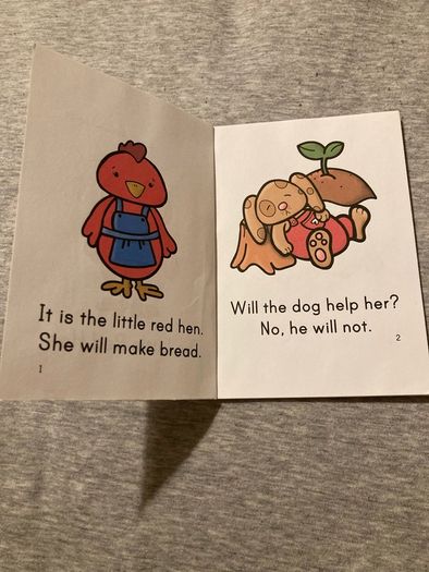 Mini books