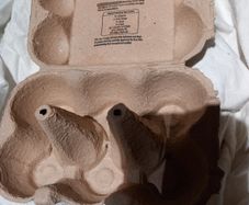 Egg Boxes FREE