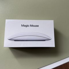 Apple magic mouse