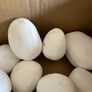 Full Pack of White Ceramic Pebbles for Gas / Bioethanol Fire (25-30 Pcs) Image 4