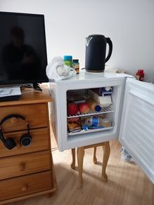 Mini Fridge