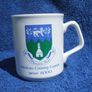WICKLOW COUNTY COUNCIL YEAR 2000 (municipal coat-of-arms) - a sacrce commemorative mug issued for the 2000 Millennium Image 2