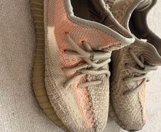 women trainers