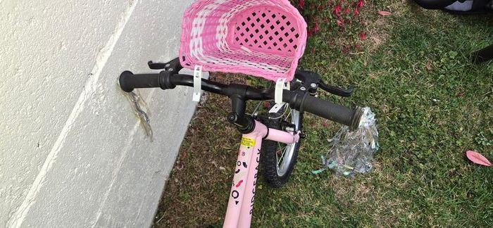 Ridgeback Honey 14in Wheel Kids Bike in Pink