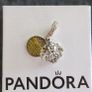 Beauty and the beast Pandora charm Image 9