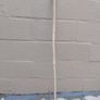 Lurcher walking stick Image 6
