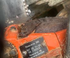 Chainsaw