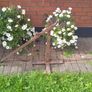 Genuine Antique Cart Jack Very Unusual And Rare Garden Ornament Image 2