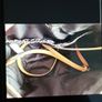 women's handbag Image 4