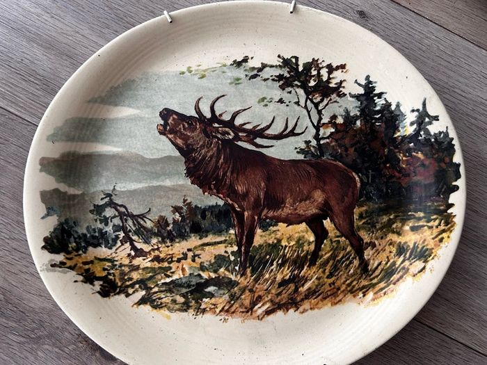 Large Selection of Vintage Decorative Plates