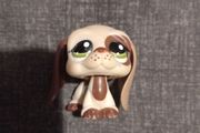 1594 lps basset hound