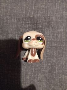1594 lps basset hound