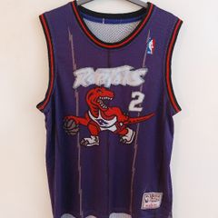 Toronto raptors basketball jersey