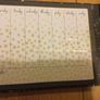 Beautiful Luxury Weekly Organiser Brand New Image 3