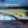 Selection of Pike Lures Image 7