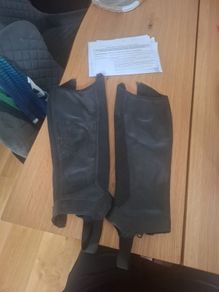 horse chaps