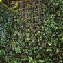 rebar mesh Image 2