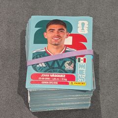 Panini World Cup Sticker Swap