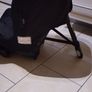 Axkid Move rear facing ONLY Car Seat( Tether Straps Missing) Image 2