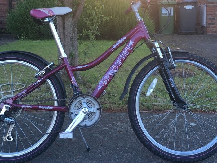 Girl's Bicycle and Accessories