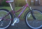 Girl's Bicycle and Accessories