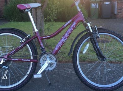 Girl's Bicycle and Accessories