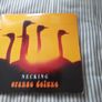 Orange Deluxe. Image 2