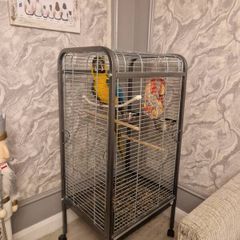 parrot cage