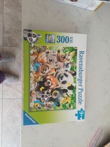 300 piece jigsaw
