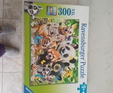 300 piece jigsaw